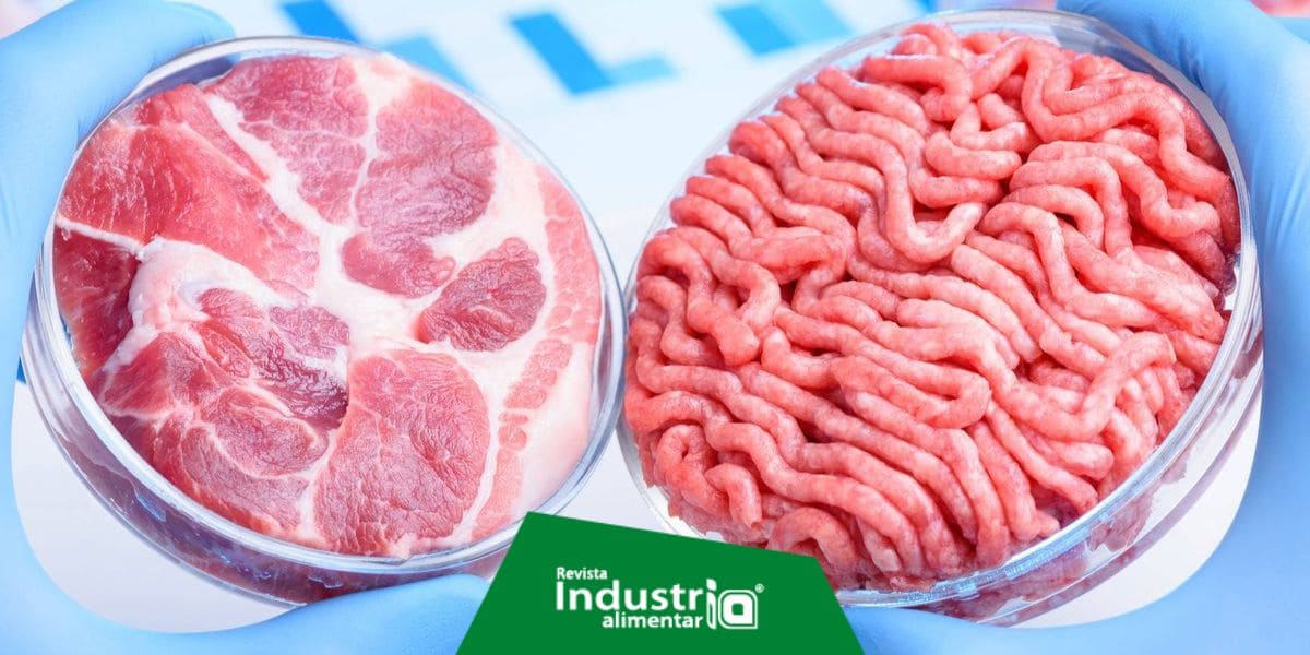 Imagen del artículo El estado de Florida en la búsqueda de restricciones legales para la producción y venta de carne cultivada en laboratorio